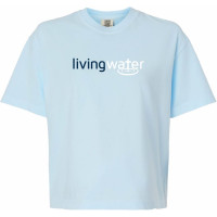 LW - Ladies Heavyweight Boxy Tee
